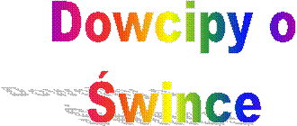 Dowcipy o
wince